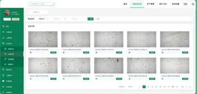 Imágenes capturadas y revisión de muestras