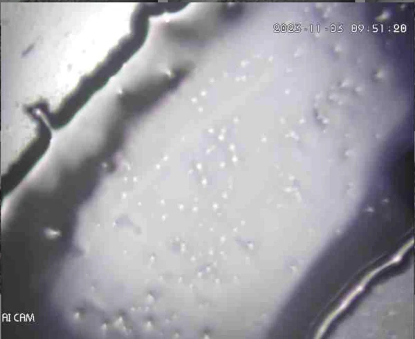 Observação microscópica de amostras