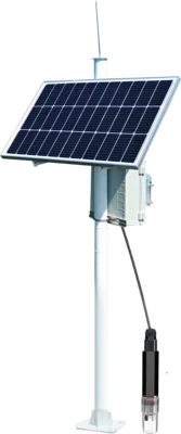 Paddy field monitoring system