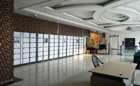 Paquetería y servicios